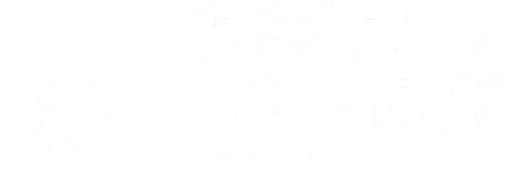 ДИиПП